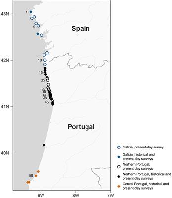 Fine-scale survey of intertidal macroalgae reveals recent changes in a cold-water biogeographic stronghold